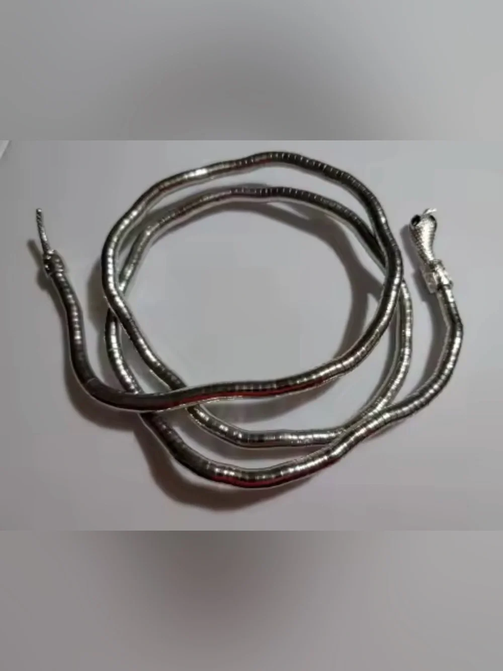 Silver Snake Coil Reptile Bracelet for Pets